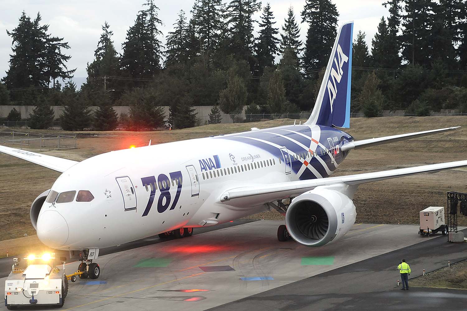 ANA fue la primera aerolínea en recibir el Boeing 787. Su primeros ejemplares portaban esta decoración especial para resaltar ese hecho.