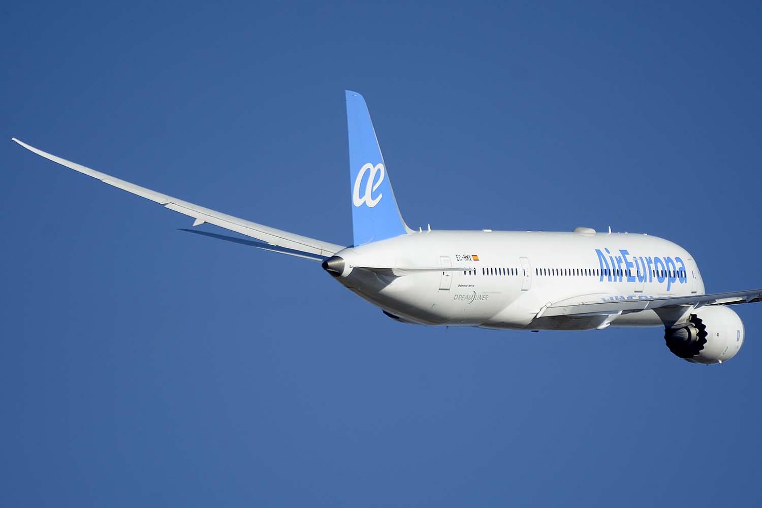 Globalia incluye entre sus empresas, además de a Airf Europa, agencias de viaje, hoteles, tour operadores, handling aeronáutico y transporte de viajeros por carretera.