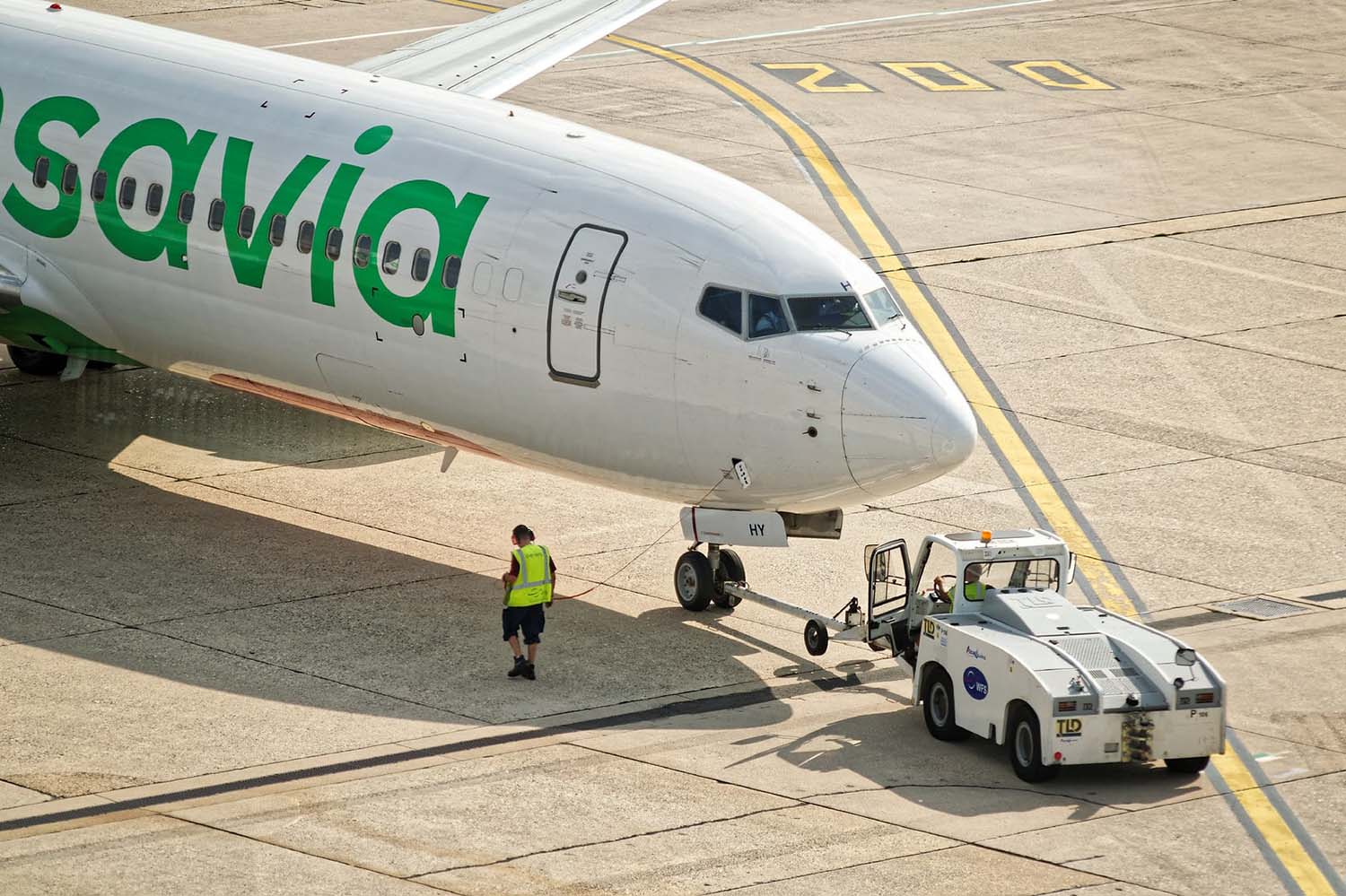 Transavia France opera actualmente con una flota de 43 Boeing 737-800.
