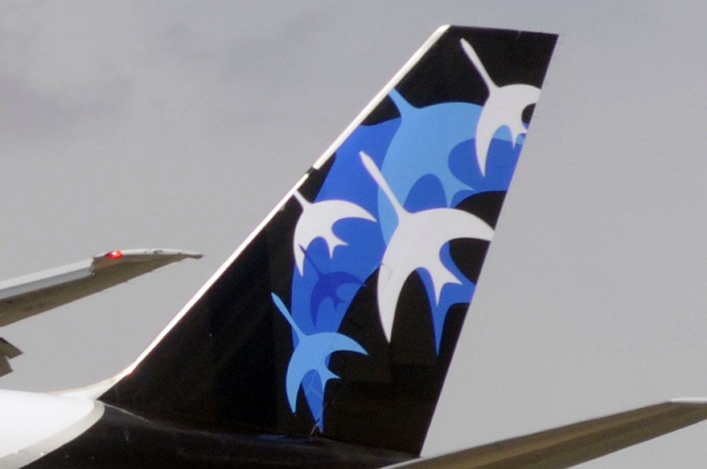 Cola del B-757 de Cygnus Air