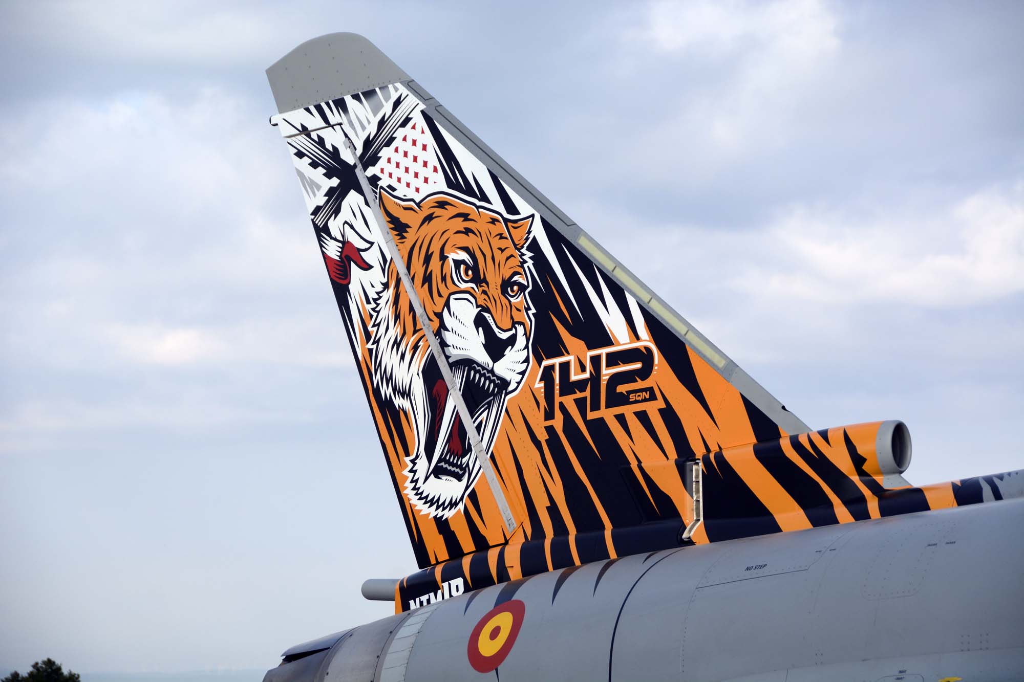 Detalle de la cola del Eurofighter C16-71/10146/14-31 recién pintado para el próximo Tiger Meet en Polonia.