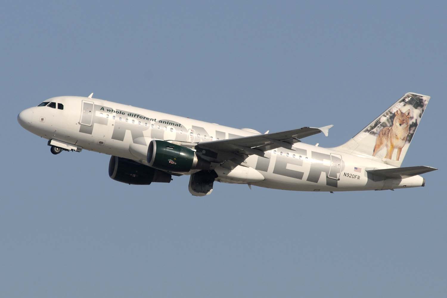 Frontier ha decorado msus aviones diferentes imágenes de animales en las colas.