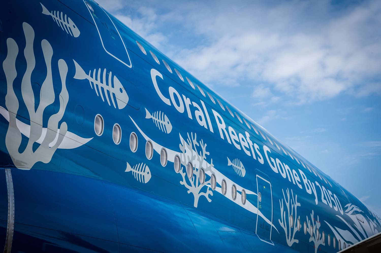 Paulo Mirpuri,, presidente de Hi Fly es el impulsor de la Fundación Mirpuri para preservar los arrecifes de coral.