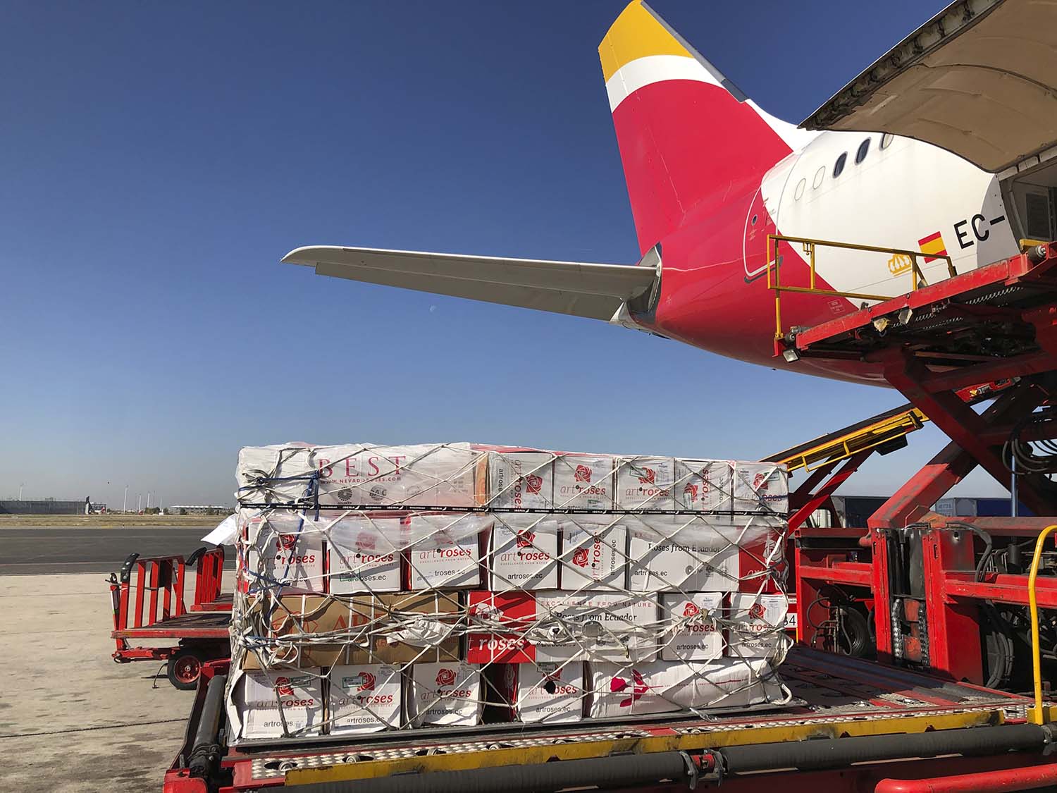 La carga es el sector en el que los ingresos de IAG más crecieron en 2020.