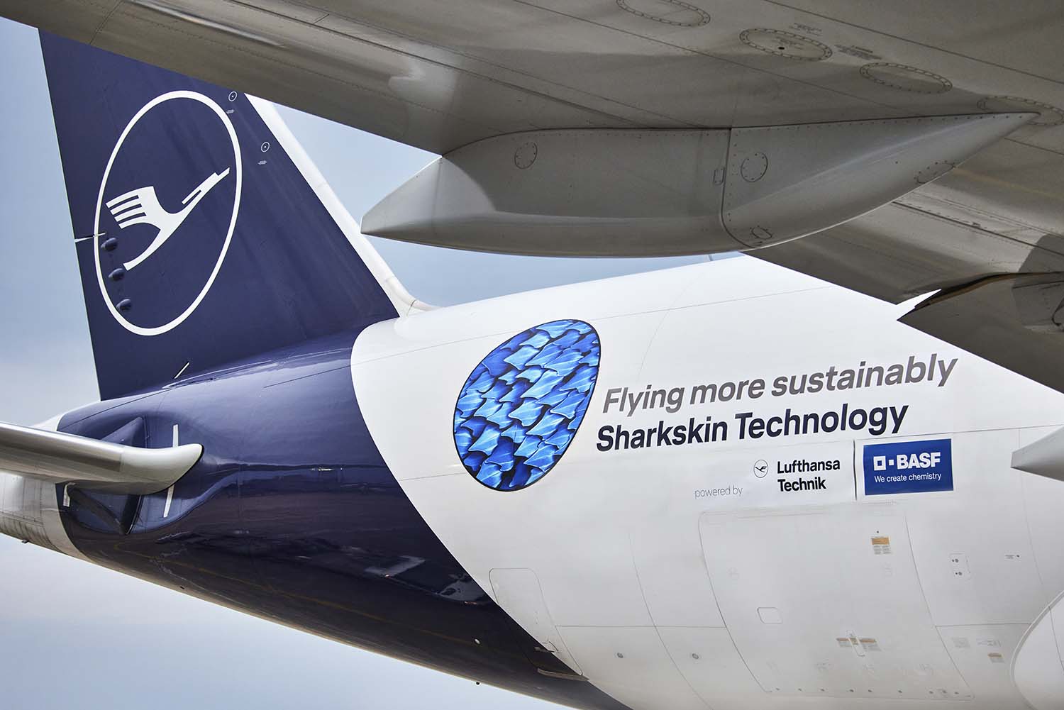 Para anunciar AeroSHARK se ha decorado un B´777F con un adhesivo que muestra el aspecto de los riblets que lo forman.